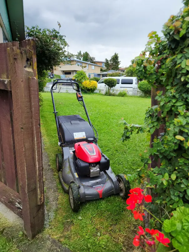 Honda lawnmower on fresh cut grass