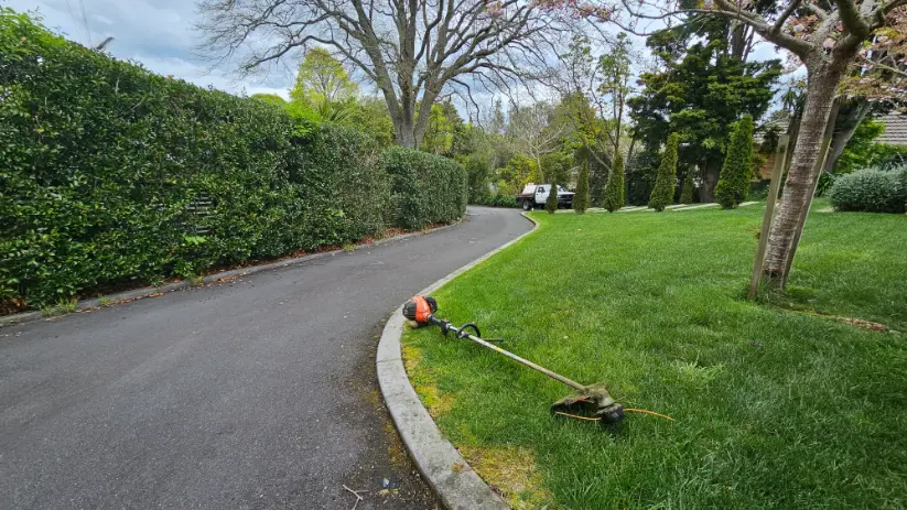 Lawn trimming along driveway edge