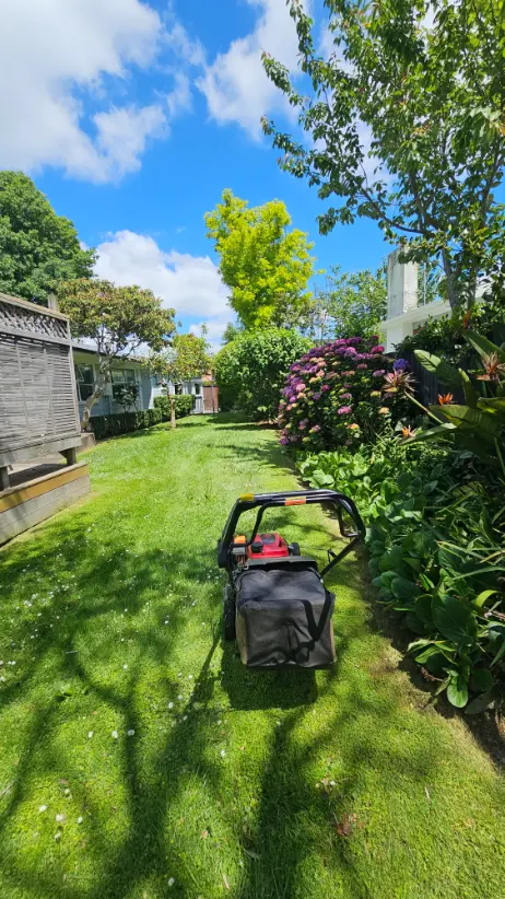 Lawn mower cutting grass