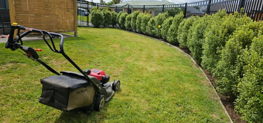 Lawn mower on grass