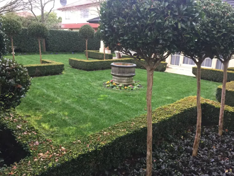 Manicured lawn with decorative trees