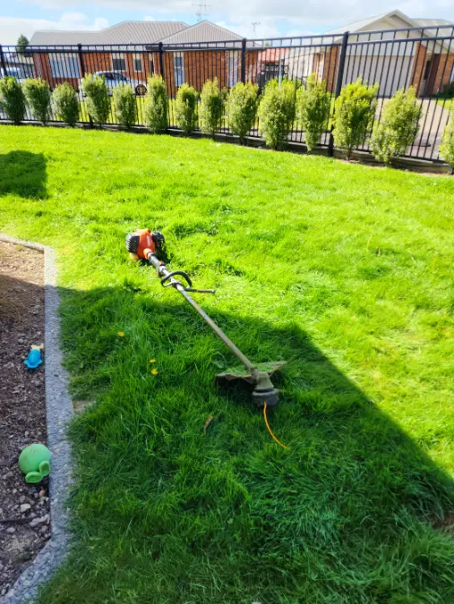 Weed whacker on lawn